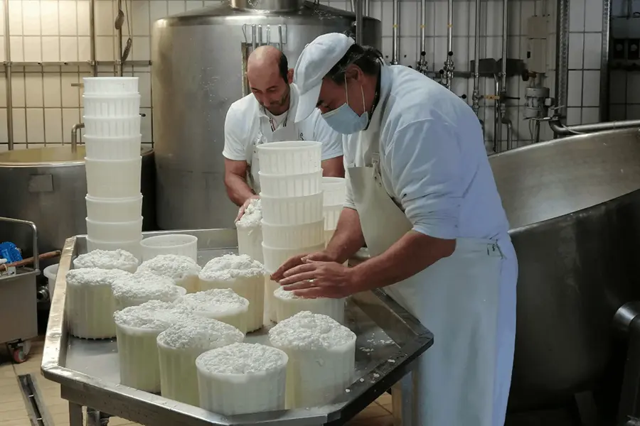 Preparazione della ricotta in caseificio
